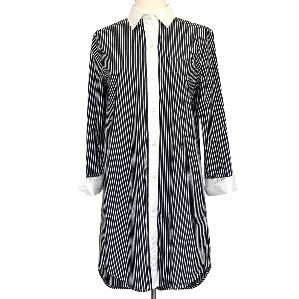 Club Monaco Shirt Dress